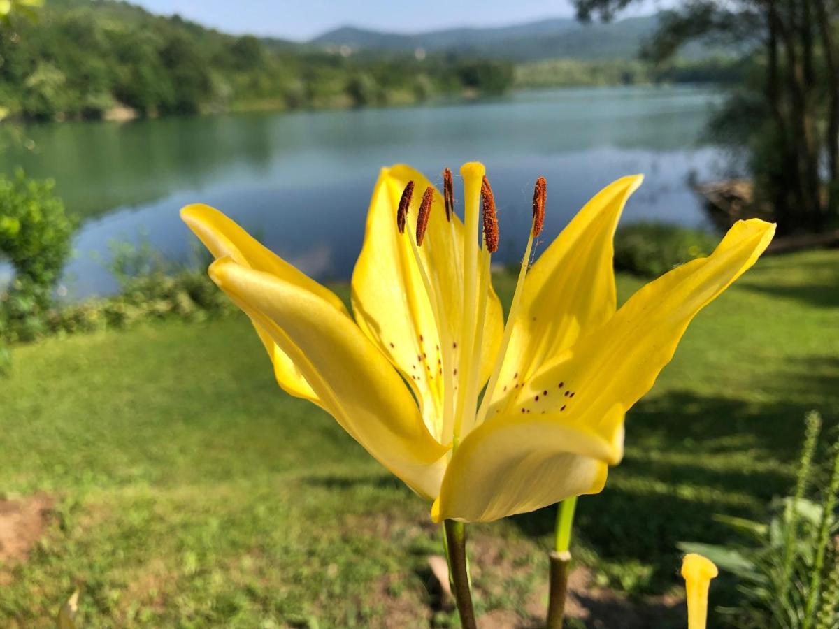 Вилла Jezero Snijeznica - Vikendica Экстерьер фото